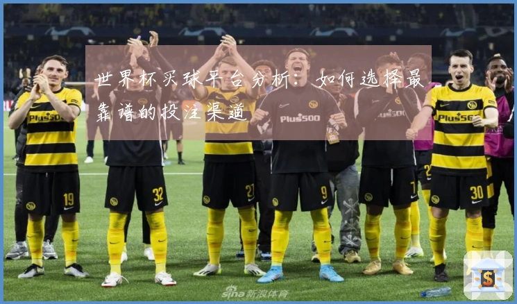 世界杯买球平台分析：如何选择最靠谱的投注渠道