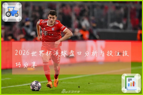2026世界杯滚球盘口分析与投注技巧分享