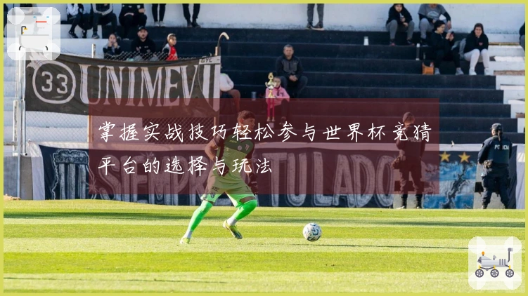 掌握实战技巧轻松参与世界杯竞猜平台的选择与玩法