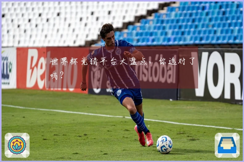 世界杯竞猜平台大盘点，你选对了吗？