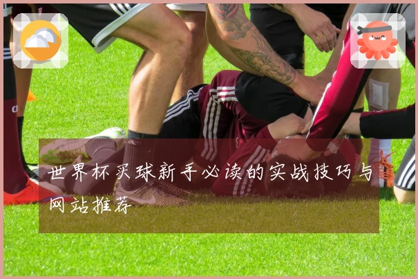 世界杯买球新手必读的实战技巧与网站推荐