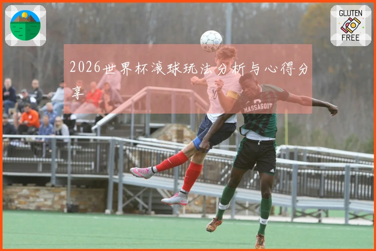 2026世界杯滚球玩法分析与心得分享