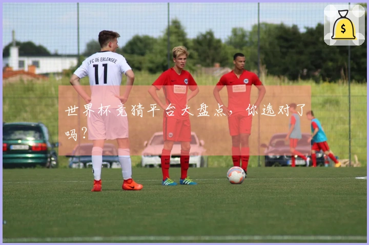 世界杯竞猜平台大盘点，你选对了吗？