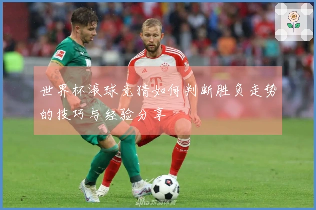 世界杯滚球竞猜如何判断胜负走势的技巧与经验分享
